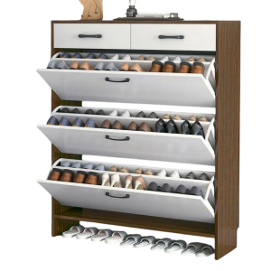 Tủ Giày Thiết Kế Hiện Đại Cho Gia Đình GH-55008