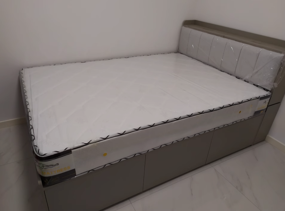 Giường Ngủ Cho Phòng Ngủ Thiết Kế Thông Minh GH-11040 - Ảnh 8