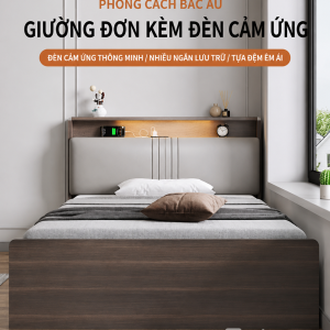 Giường ngủ có ngăn kéo và khoang chứa đồ dưới đệm GH GH- GH-11047 - ảnh chi tiết 7