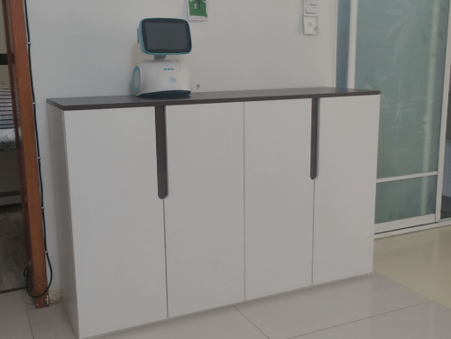 Tủ Trang Trí Cánh Mở Tối Giản Cho Không Gian Gọn Gàng GH-56015